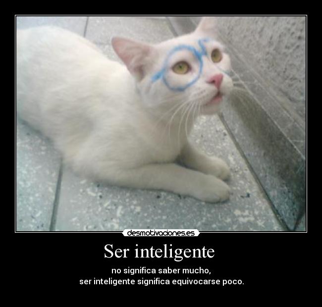 Ser inteligente -