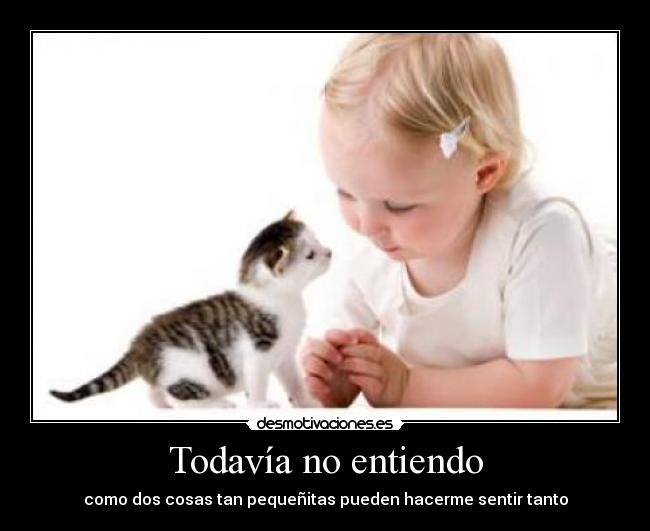 Todavía no entiendo -