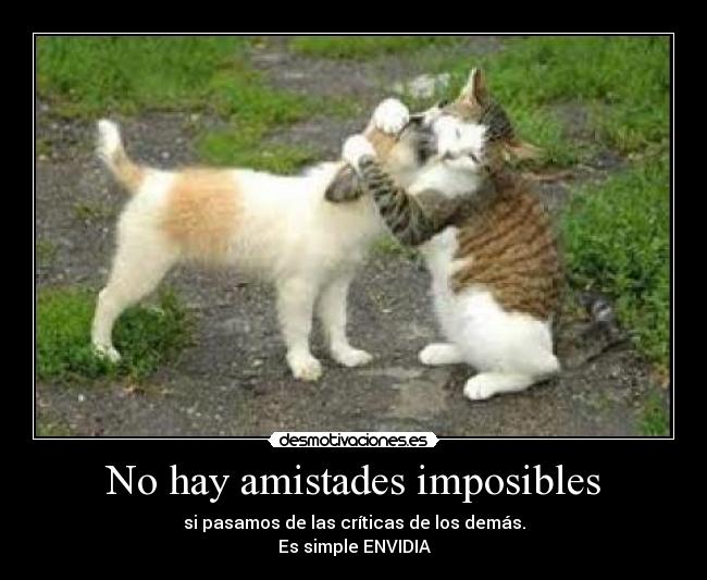 No hay amistades imposibles - si pasamos de las críticas de los demás.
Es simple ENVIDIA