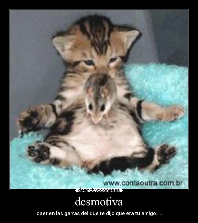 desmotiva -
