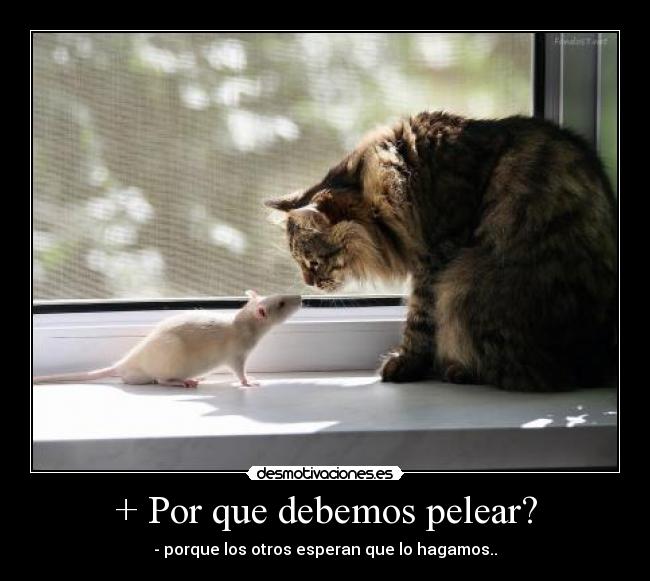 + Por que debemos pelear? -