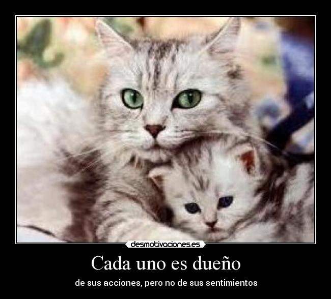 Cada uno es dueño - de sus acciones, pero no de sus sentimientos