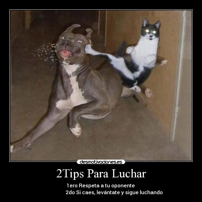 2Tips Para Luchar -