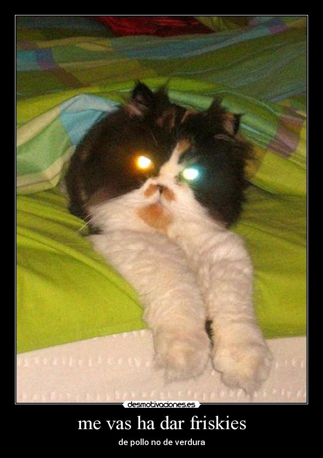 me vas ha dar friskies -