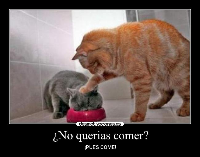 ¿No querias comer? - ¡PUES COME!