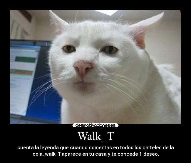 Walk_T - 