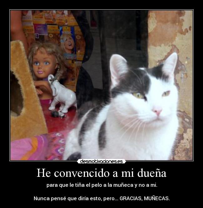 carteles miri25 desmotivaciones