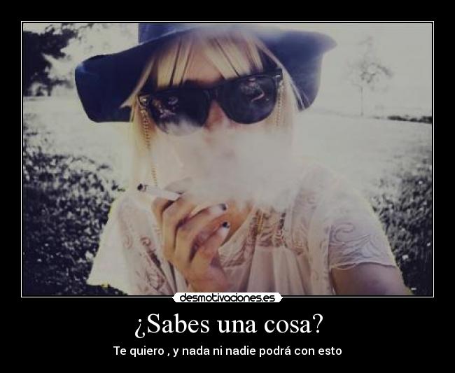 carteles blondgirl desmotivaciones