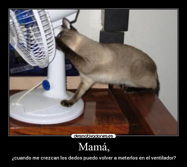 Mamá, - ¿cuando me crezcan los dedos puedo volver a meterlos en el ventilador?