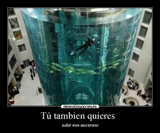 carteles ascensorpiscinaaguapecestorre desmotivaciones