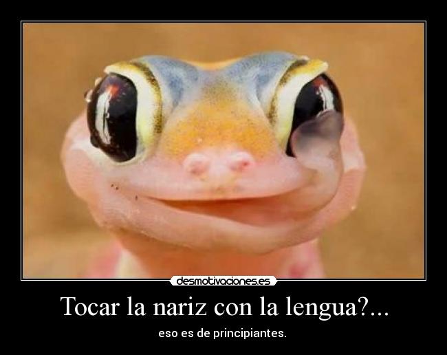 Tocar la nariz con la lengua?... - 