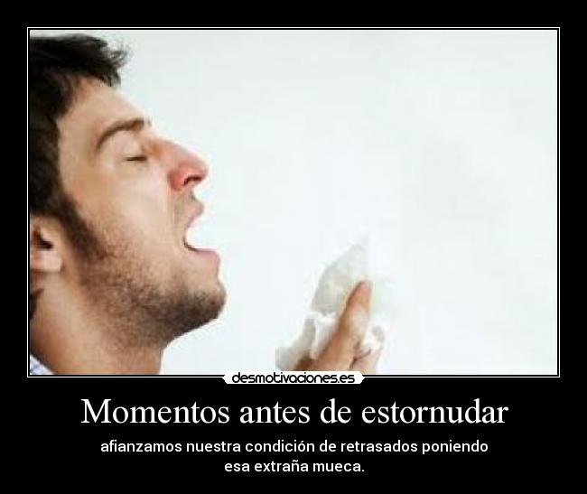 Momentos antes de estornudar - afianzamos nuestra condición de retrasados poniendo
esa extraña mueca.
