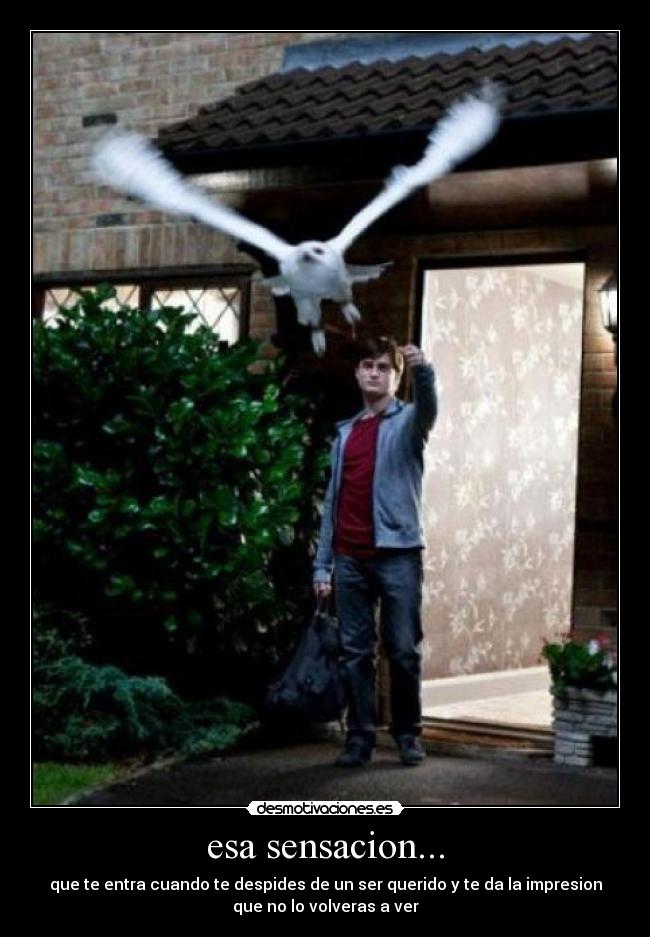esa sensacion... - que te entra cuando te despides de un ser querido y te da la impresion
que no lo volveras a ver