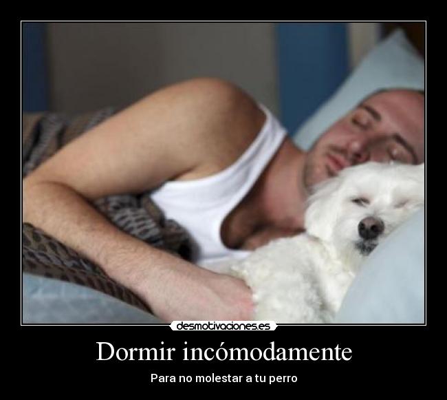 Dormir incómodamente - Para no molestar a tu perro