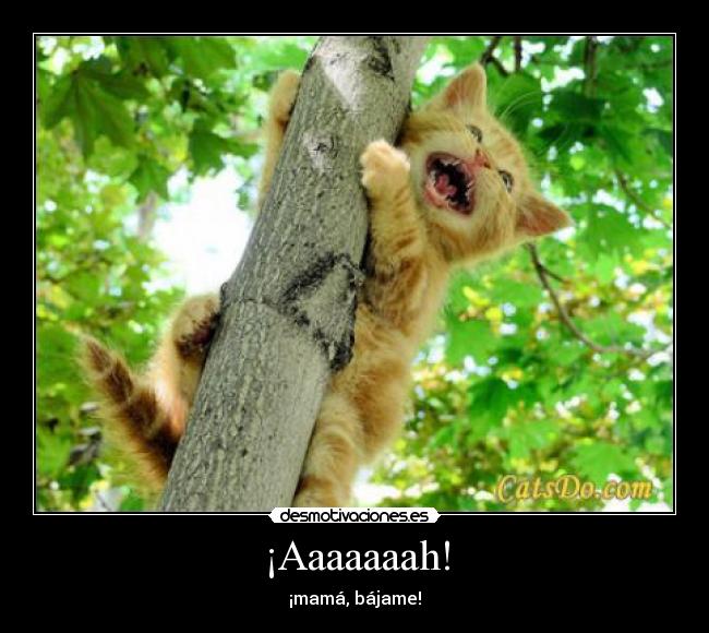 ¡Aaaaaaah! - 