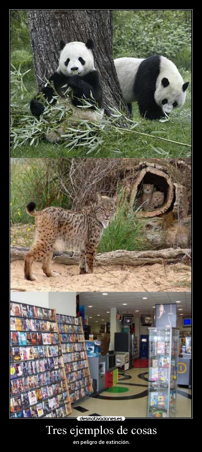 Tres ejemplos de cosas -