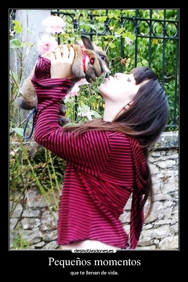 Pequeños momentos -
