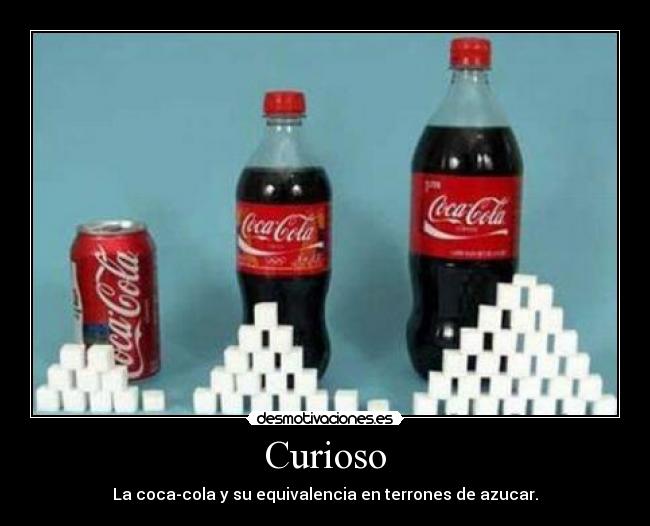 Curioso - 