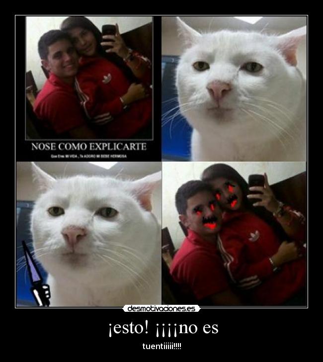 ¡esto! ¡¡¡¡no es - tuentiiiii!!!!