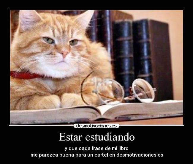 Estar estudiando - y que cada frase de mi libro
me parezca buena para un cartel en desmotivaciones.es