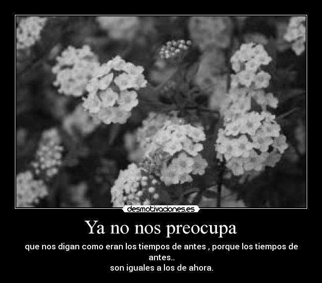 carteles omayra desmotivaciones