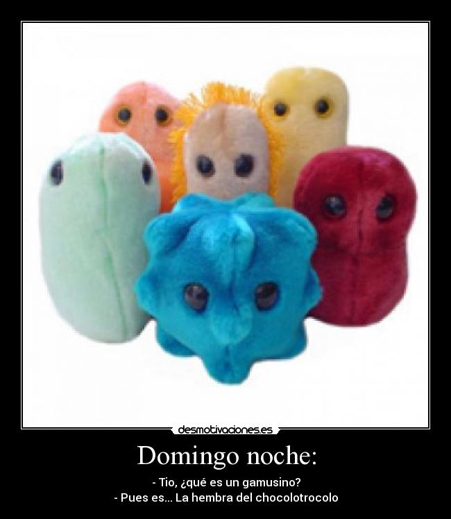 Domingo noche: - - Tio, ¿qué es un gamusino?
- Pues es... La hembra del chocolotrocolo