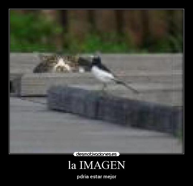 la IMAGEN - 