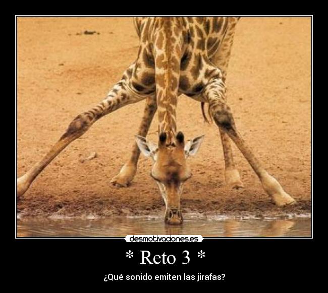 * Reto 3 * - 