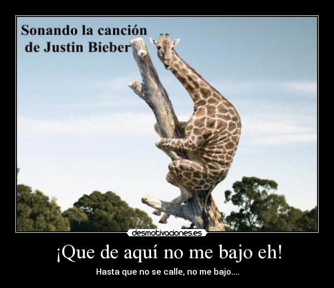 ¡Que de aquí no me bajo eh! -