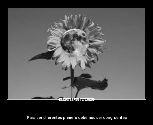   - Para ser diferentes primero debemos ser congruentes
