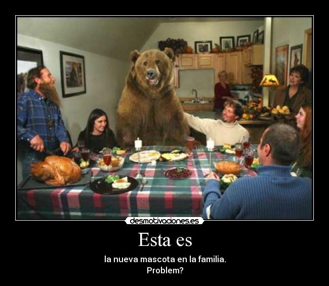 Esta es - la nueva mascota en la familia.
Problem?