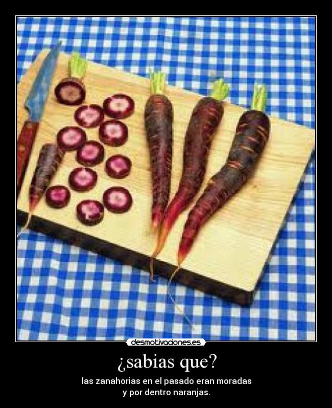 ¿sabias que? -