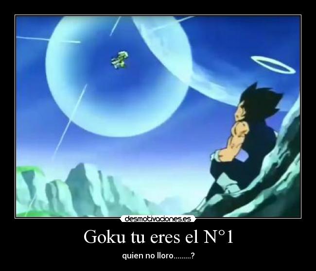 Goku tu eres el N°1 - quien no lloro.........?