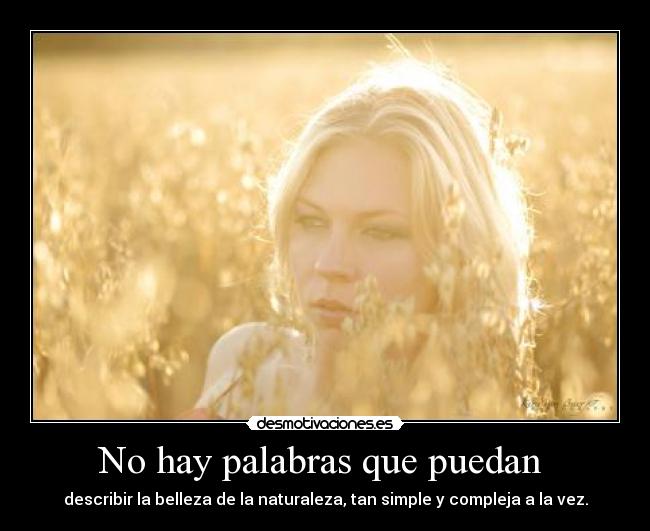 No hay palabras que puedan -