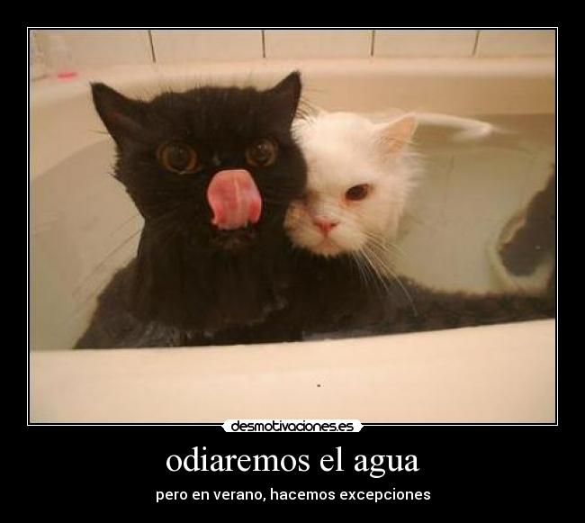 odiaremos el agua - 