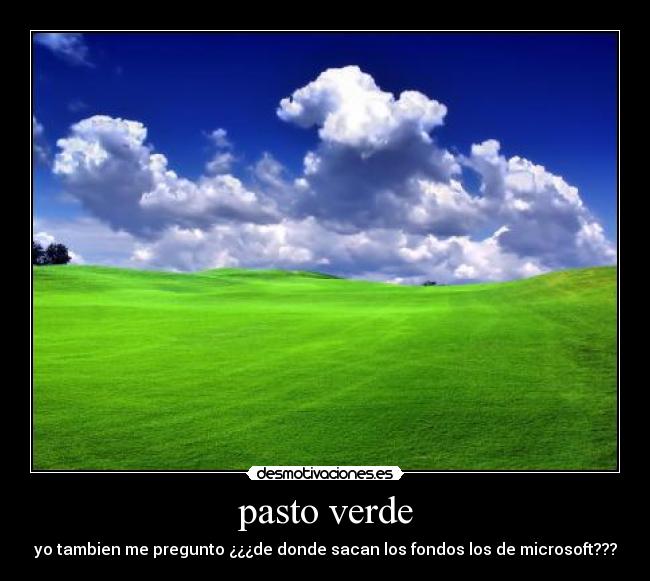 pasto verde - yo tambien me pregunto ¿¿¿de donde sacan los fondos los de microsoft???