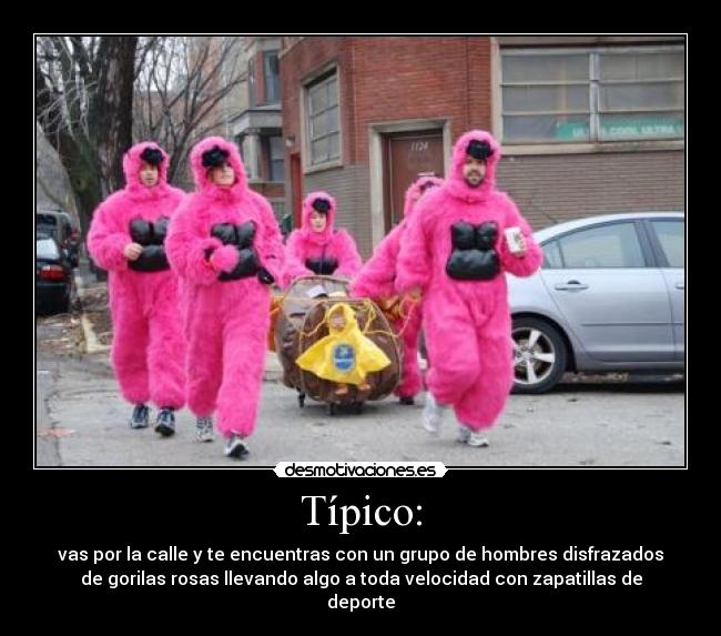 Típico: - vas por la calle y te encuentras con un grupo de hombres disfrazados
de gorilas rosas llevando algo a toda velocidad con zapatillas de
deporte