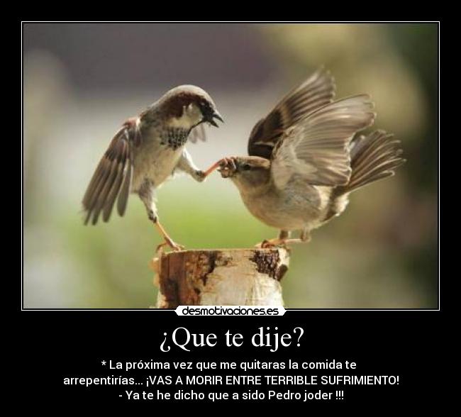 ¿Que te dije? - * La próxima vez que me quitaras la comida te
arrepentirías... ¡VAS A MORIR ENTRE TERRIBLE SUFRIMIENTO!
- Ya te he dicho que a sido Pedro joder !!!