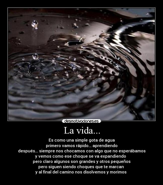 La vida... - 