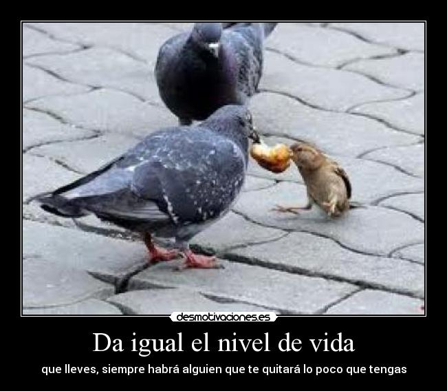 carteles vida desmotivaciones