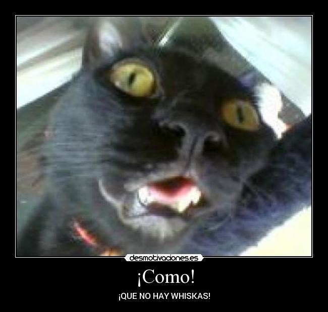 ¡Como! - 