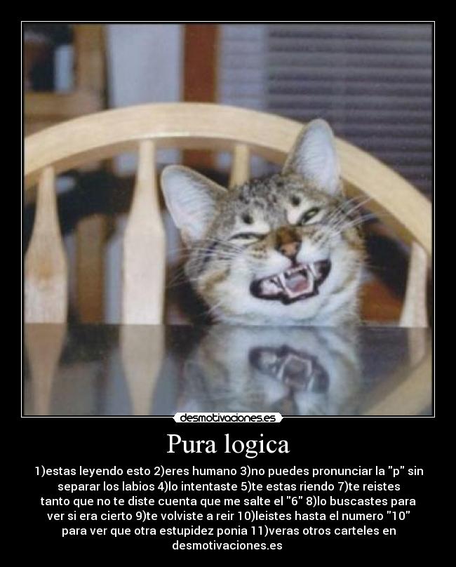 Pura logica -
