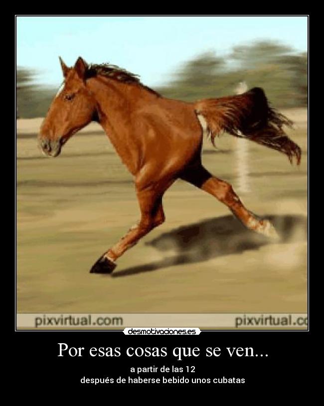 Por esas cosas que se ven... - 