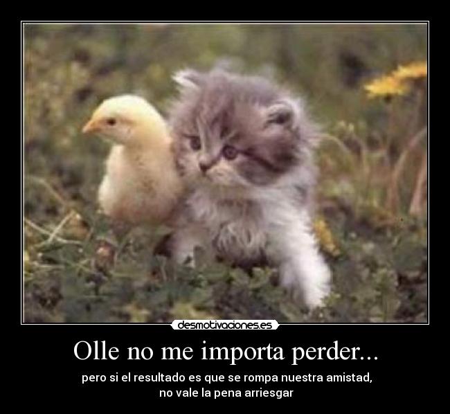 Olle no me importa perder... - 