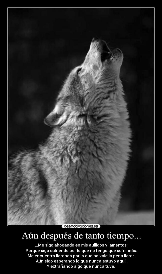 carteles tiempo despues ahogado aullidos lamentos lobo lobos sufrimiento sufriendo llanto llorar extranando desmotivaciones