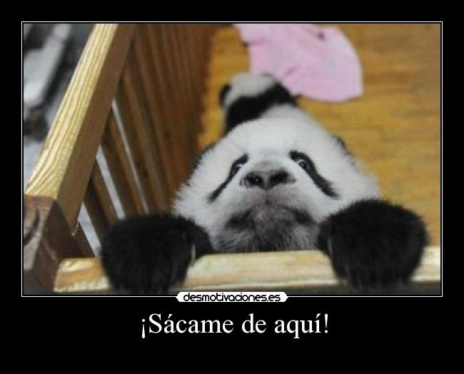 ¡Sácame de aquí! -