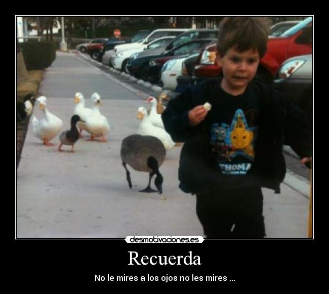 Recuerda - No le mires a los ojos no les mires ...