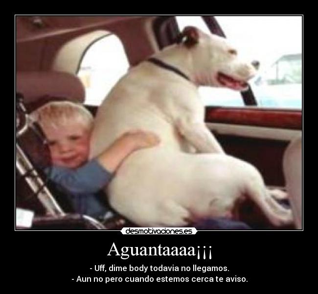Aguantaaaa¡¡¡ -