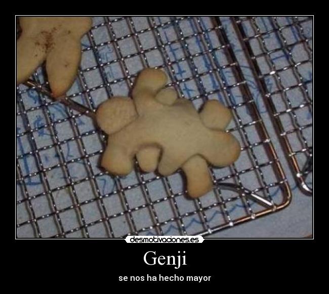Genji - se nos ha hecho mayor