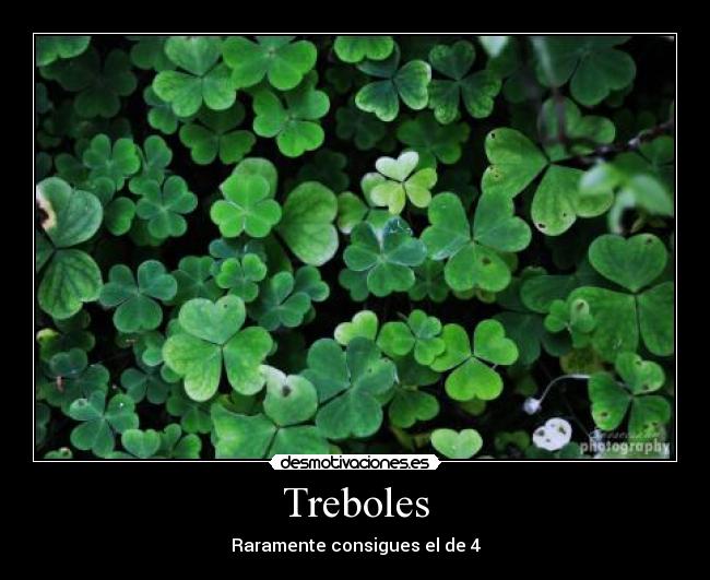 Treboles -